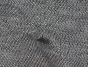 And/Or Women's Black Linen Casual Top, Size 12