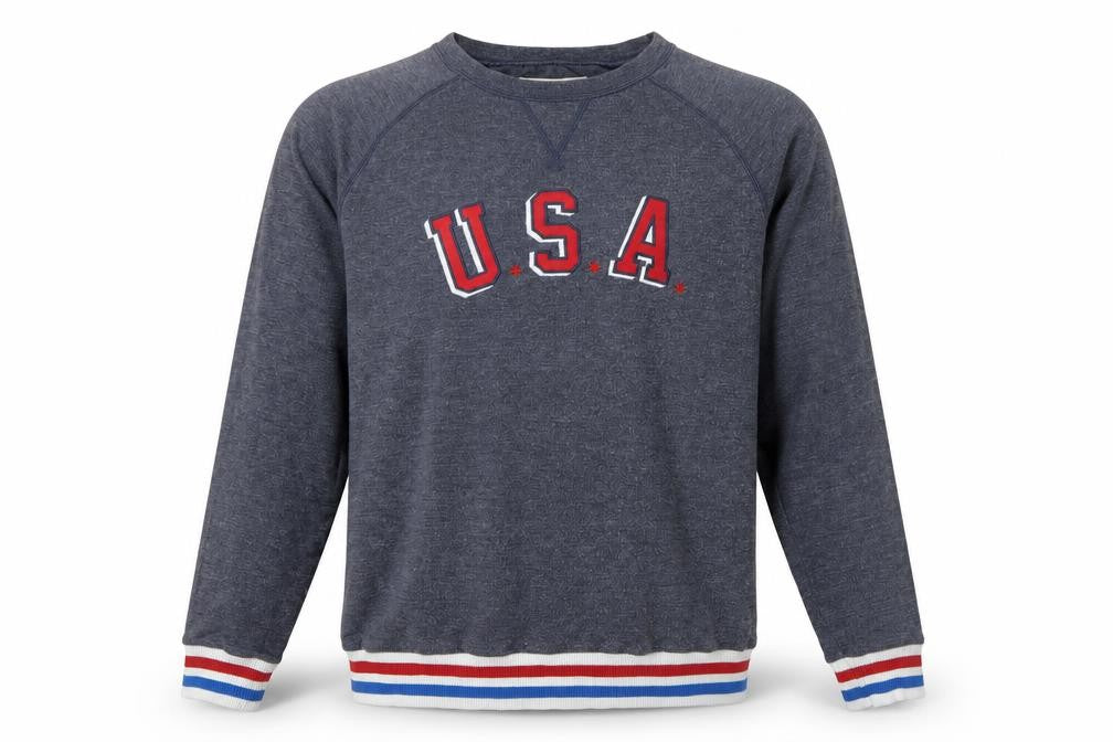 Front view of Hollister Men's Grey Pullover Sweatshirt M USA Logo