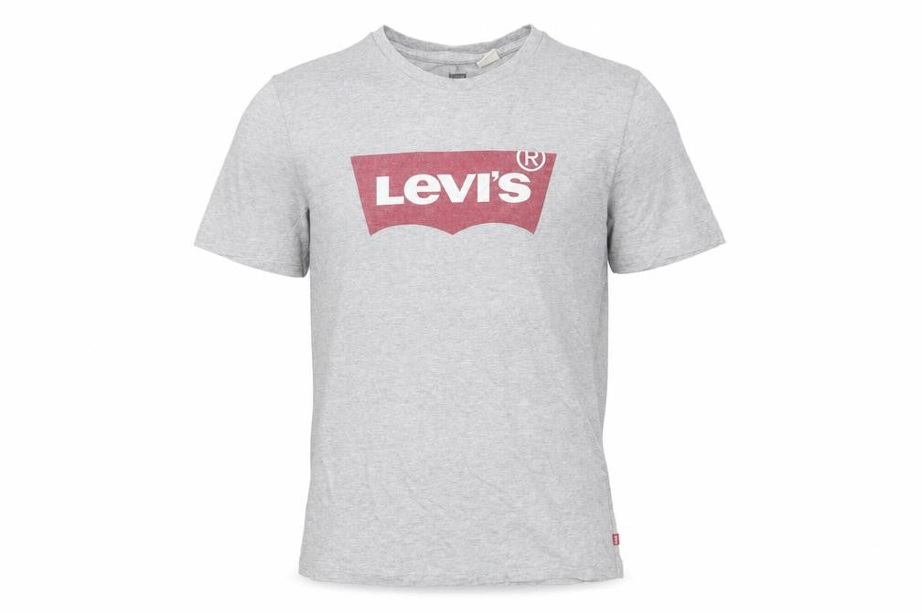 Front view of Levi's Men's Grey Graphic Print T-Shirt, size S