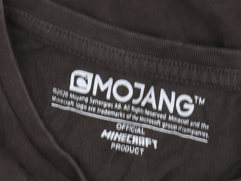 Mojang Boys Brown Minecraft T-Shirt, 11-12 Years, Graphic Print