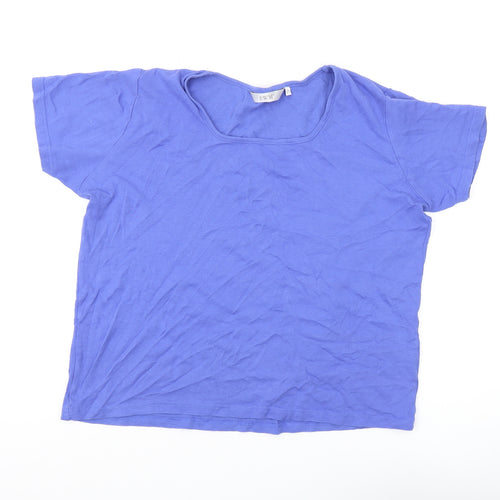 EWM Women's Blue Basic T-Shirt, L, Scoop Neck