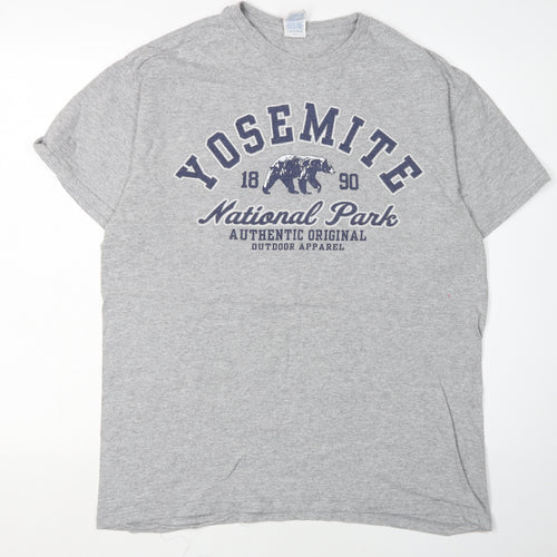 Delta Pro Weight Men's Grey Yosemite T-Shirt L