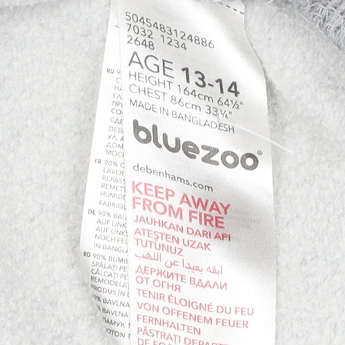 Bluezoo Boys Grey Sweatshirt 13-14 Yrs Dinosaur Pullover Jersey