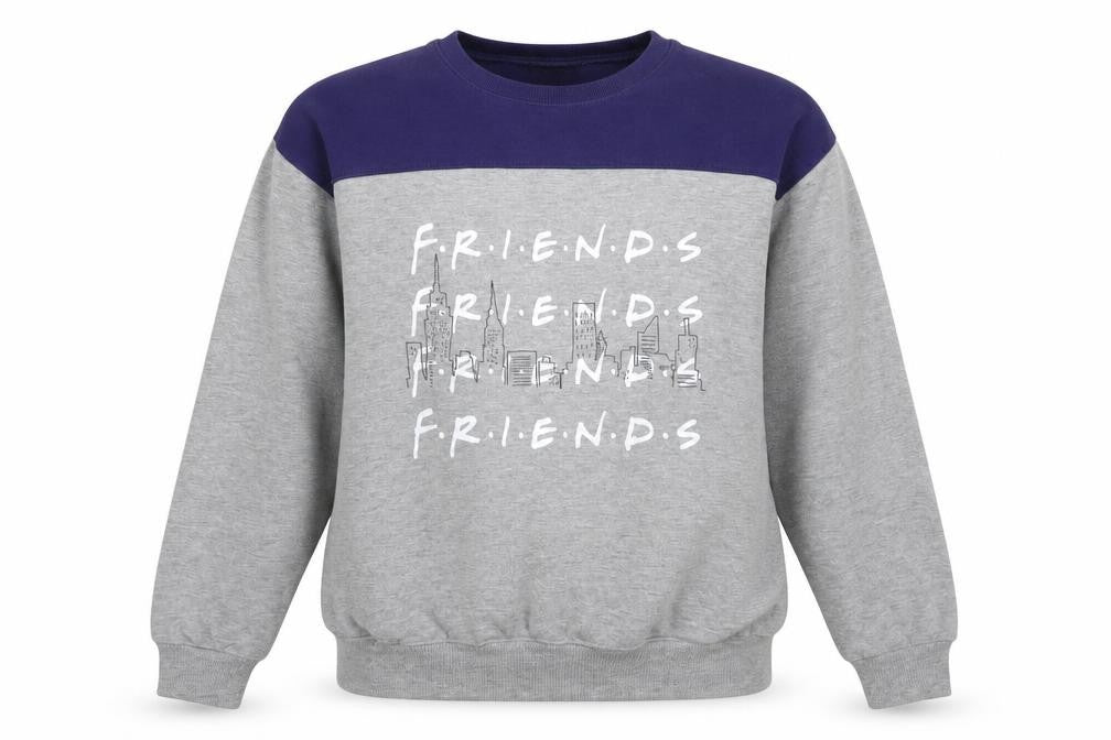 Front view of Friends TV Show Grey Sweatshirt, Medium, unisex