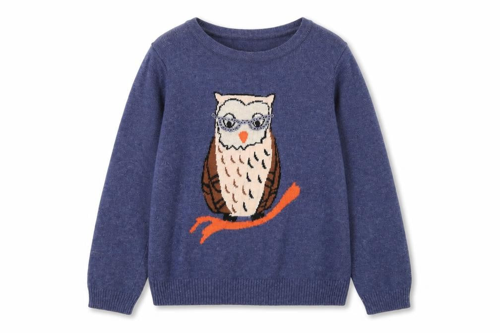 Front view of Yumi girls’ blue owl jumper 9-10 years