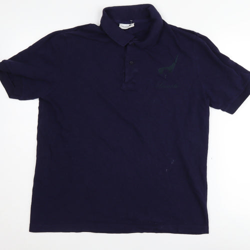 Lacoste Boys Blue Polo Shirt - Size L, Casual Wear