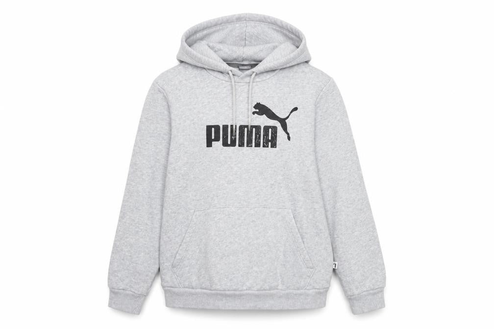 Puma Unisex Grey Pullover Hoodie L