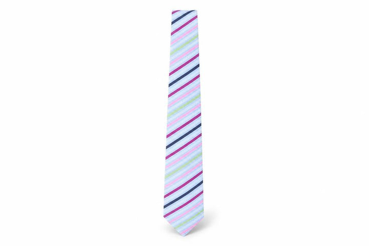 Ted Baker Men's Multicoloured Striped Silk Tie