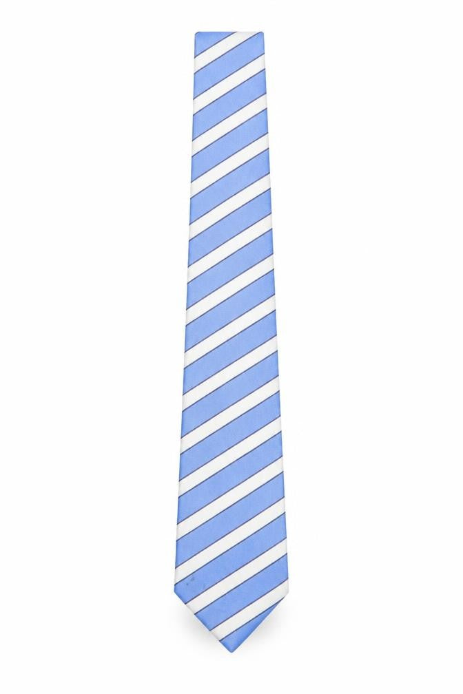Front view of Dehavilland Men's Blue Striped Silk Tie