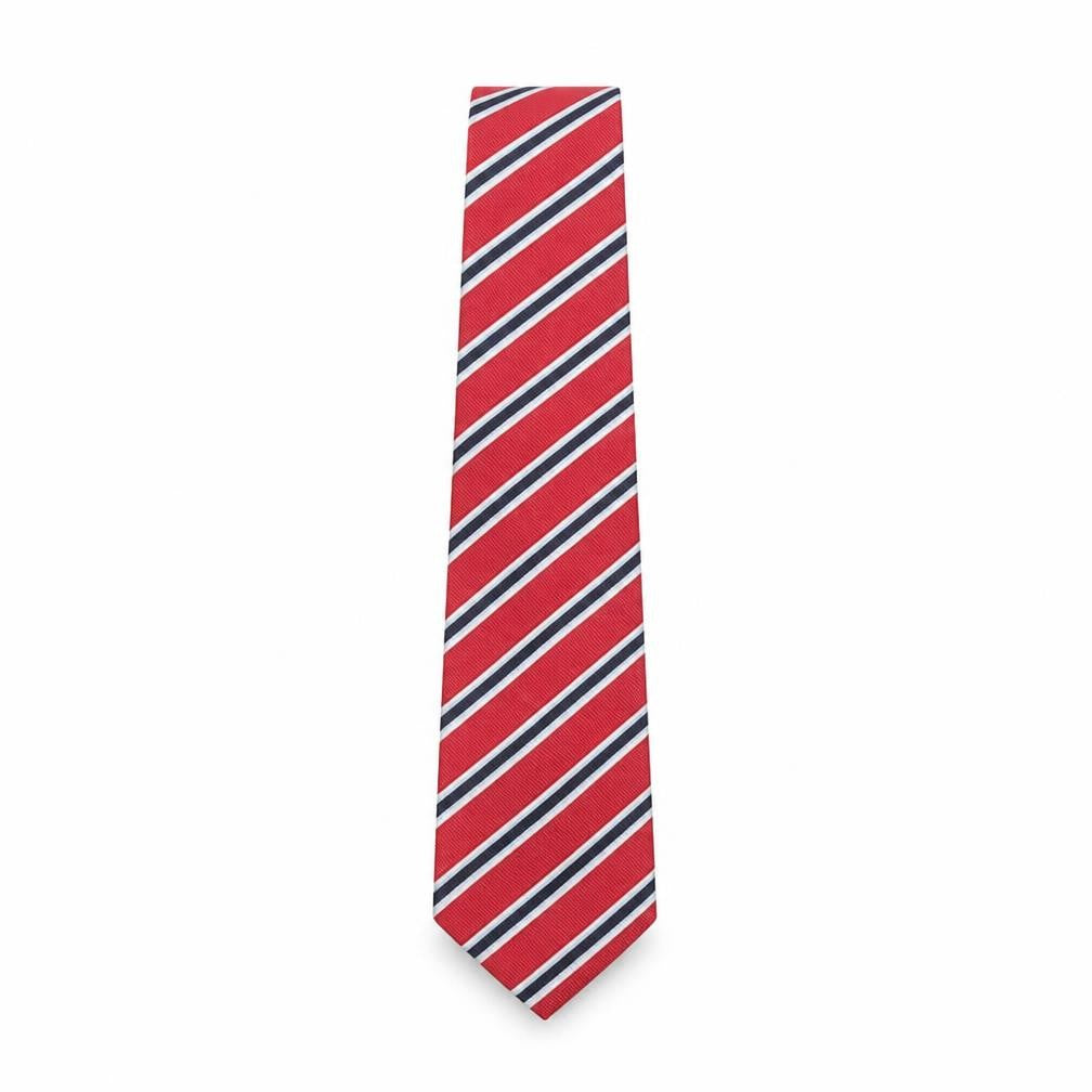 Front view of Michaelis Men's Red Striped Silk Tie