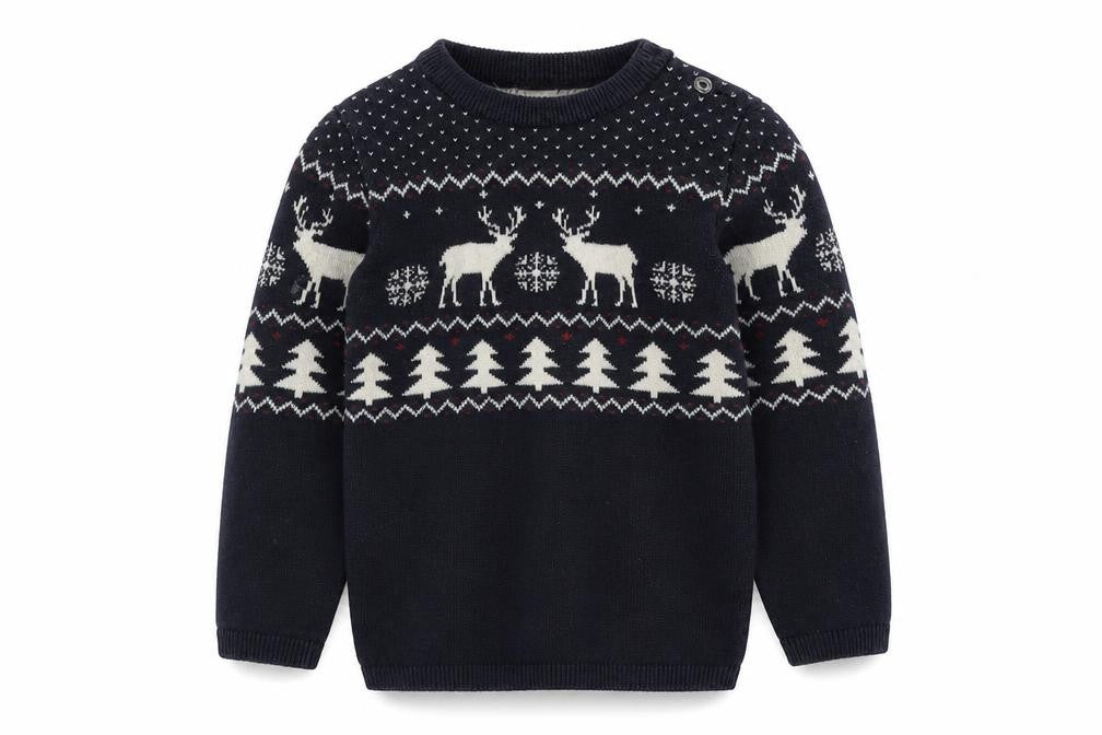 H&M Boys Blue Reindeer Knit Jumper 2 Years Winter