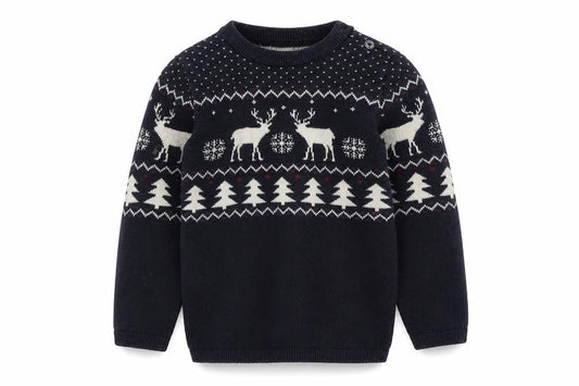 H&M Boys Blue Reindeer Knit Jumper 2 Years Winter