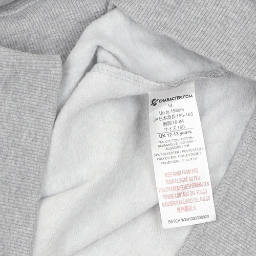 Character.com Boys WWE Grey Hoodie Pullover 14 Logo Casual