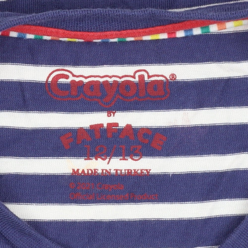Fatface Girls Multicoloured Long Sleeve Striped T-Shirt 13Y