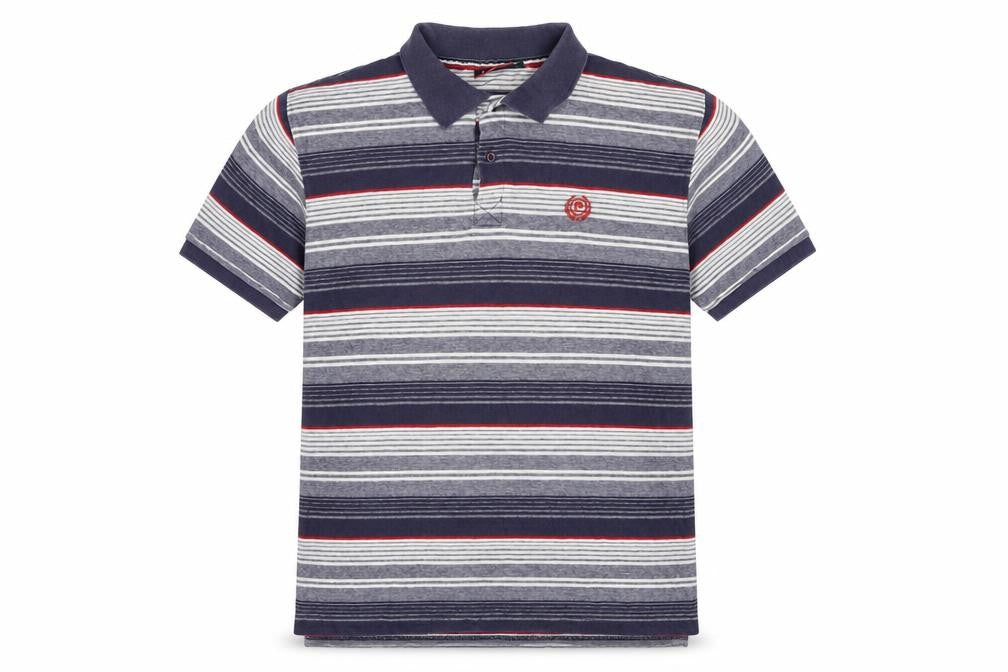 Front view of Pierre Cardin Men's Multicoloured XL Striped Polo