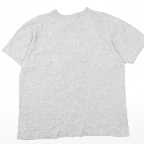 The Needles Men’s Grey XL Patriotic Graphic T-Shirt