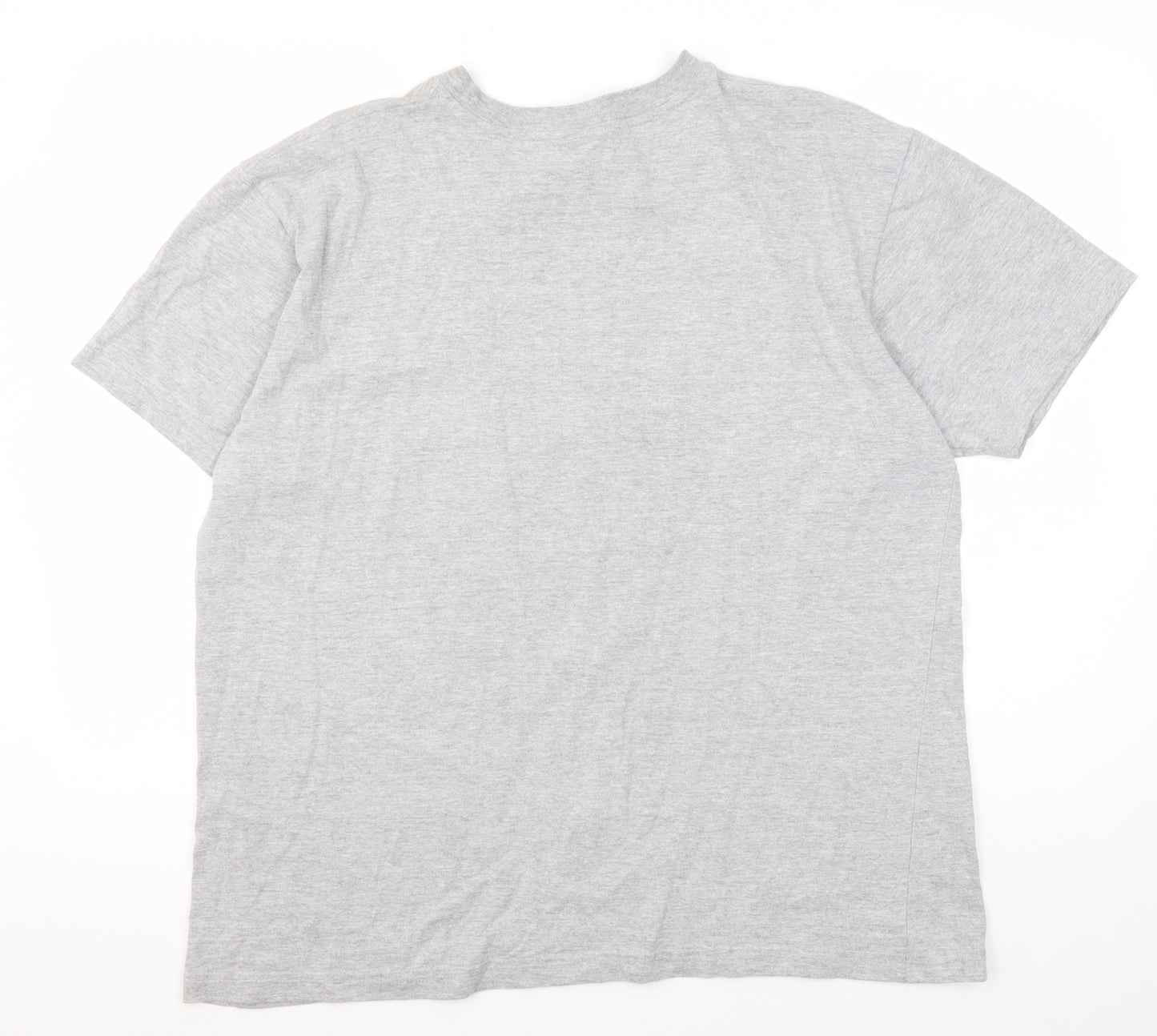 The Needles Men’s Grey XL Patriotic Graphic T-Shirt