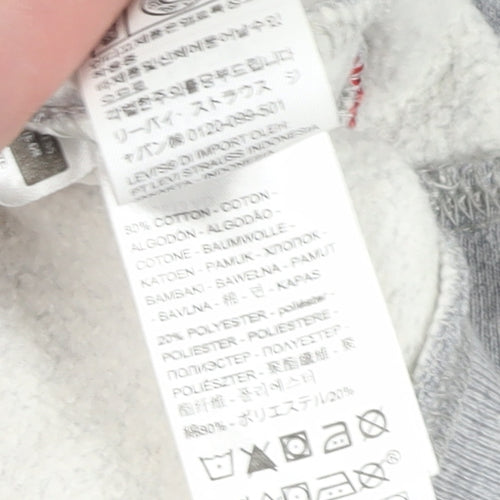 Levi's Men's Grey Medium Logo Pullover Hoodie