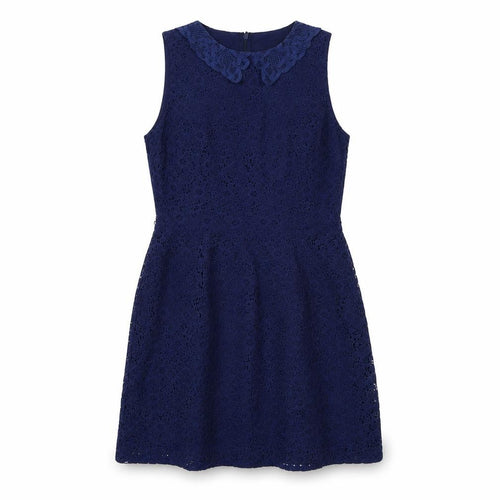 Oasis Women's Blue Lace Knee Length Sleeveless Dress