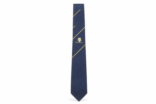 Front view of Men's Blue Silk Polyester Embroidered Logo Tie