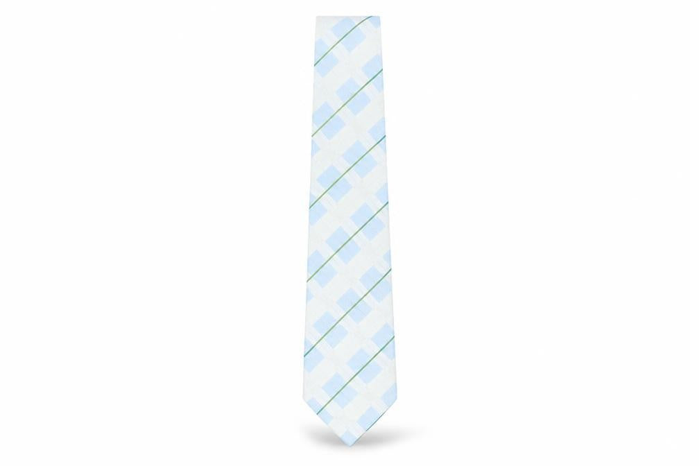 Front view of Thomas Nash Men's Blue Plaid Check Polyester Tie