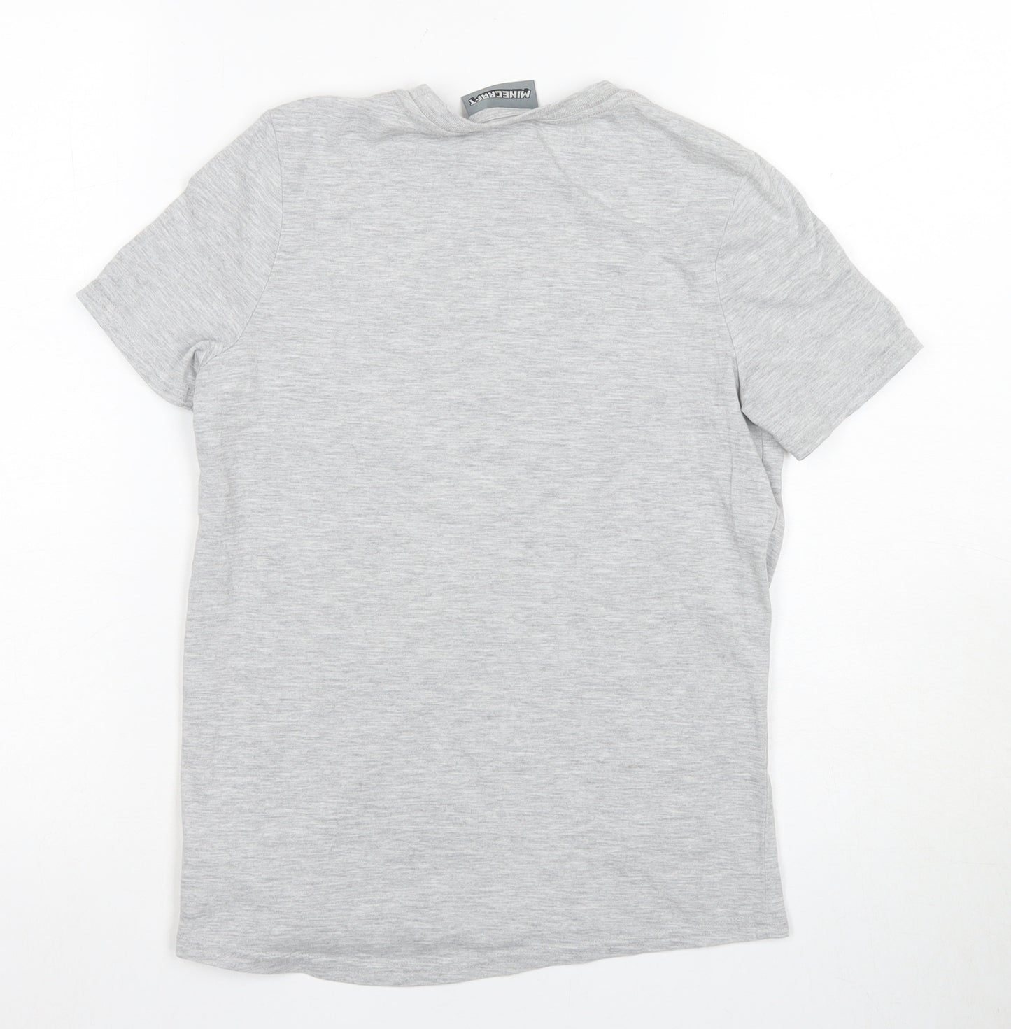 Minecraft Boys Grey Short Sleeve Graphic T-Shirt 9-10 Years