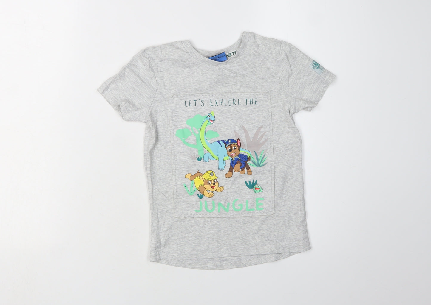 George Boys Grey PAW Patrol Graphic T-Shirt 4-5 Years