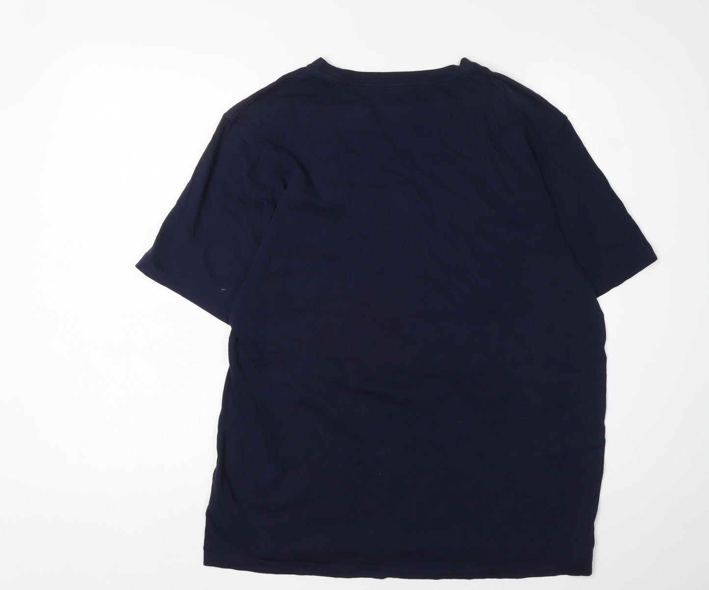 Gap Men's Blue Regular Fit Crew Neck T-Shirt, Size L