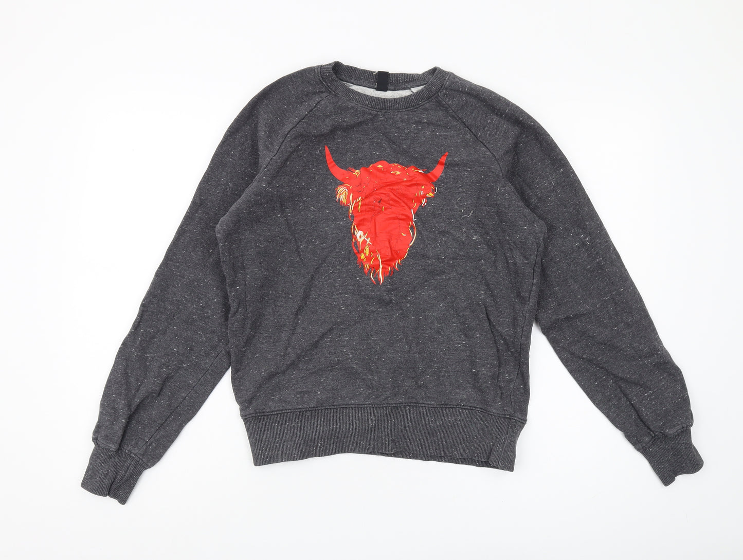 Earth Positive Men's Grey Graphic Print Sweatshirt S