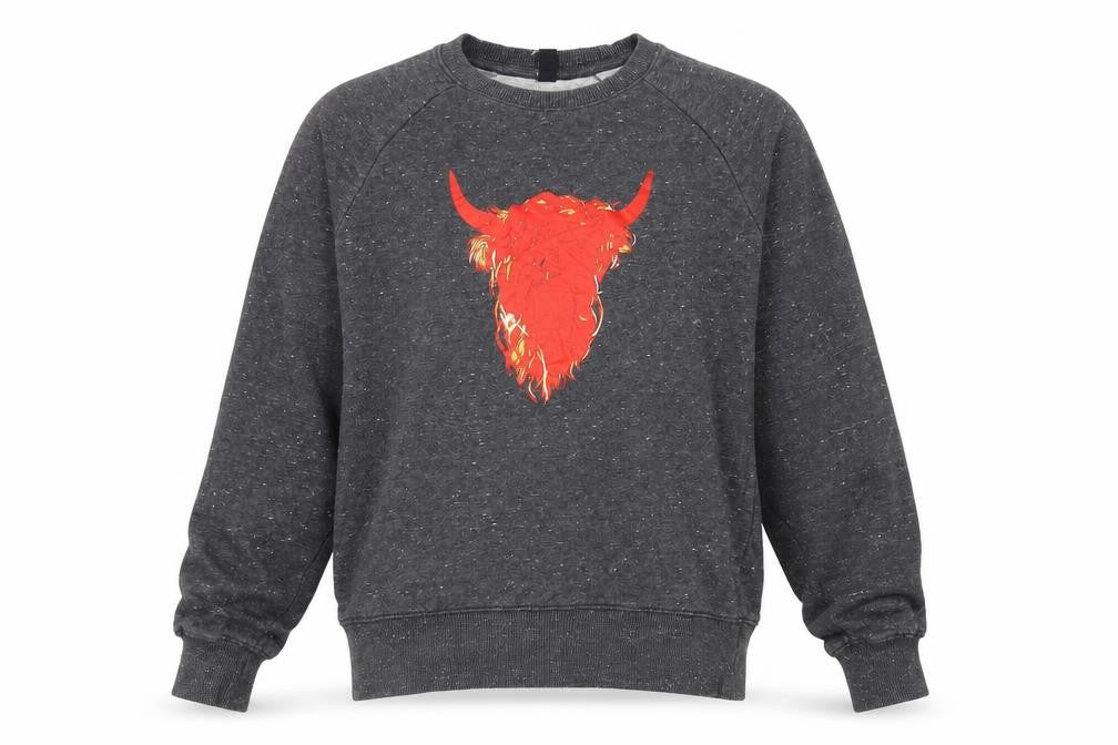 Front view of Earth Positive Men's Grey Graphic Print Sweatshirt S