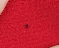 ASOS Women's Red Square Neck Slip Dress, Size 8