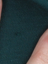 Lands' End Green Women's XS Petite Polo Top