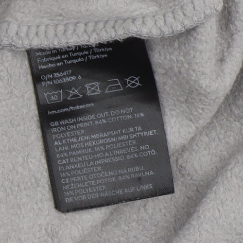 H&M Boys Grey Sonic Hedgehog Pullover Hoodie 8-10 Years