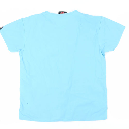 Dickies Unisex Blue S V-Neck T-Shirt, Casual, Regular Fit