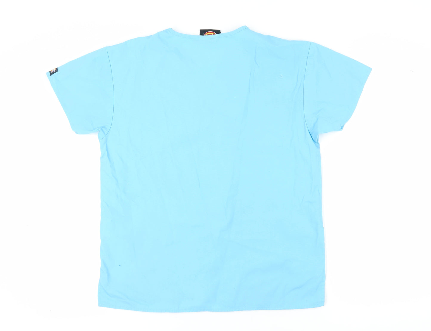 Dickies Unisex Blue S V-Neck T-Shirt, Casual, Regular Fit