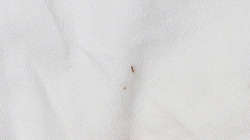 Joules Women's Ivory Wide-Leg Jeans, Size 12