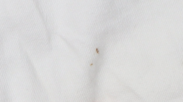 Joules Women's Ivory Wide-Leg Jeans, Size 12