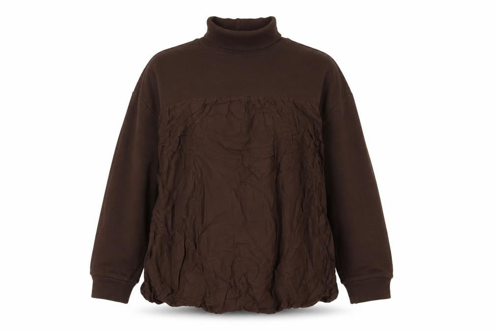 Front view of Zara Women's Brown High Neck Long Sleeve Blouse
