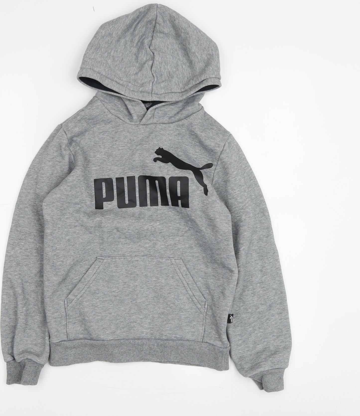 Puma Boys Grey Logo Hoodie, 9-10 Years, Pullover