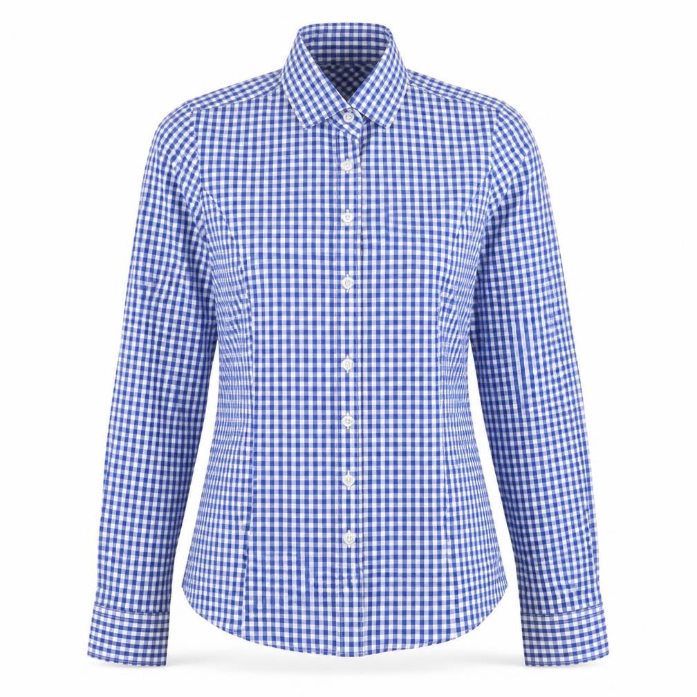 Front view of Brook Taverner Women's Blue Check Button-Up Shirt, size 6