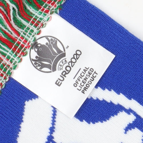 UEFA Euro 2020 Men's Blue Rectangle Scarf, Sports Theme