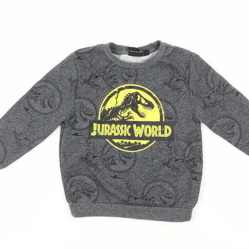 Jurassic World Boys Grey Sweatshirt 4-5 Years Pullover