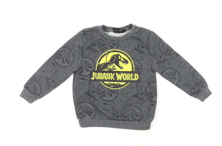 Jurassic World Boys Grey Sweatshirt 4-5 Years Pullover