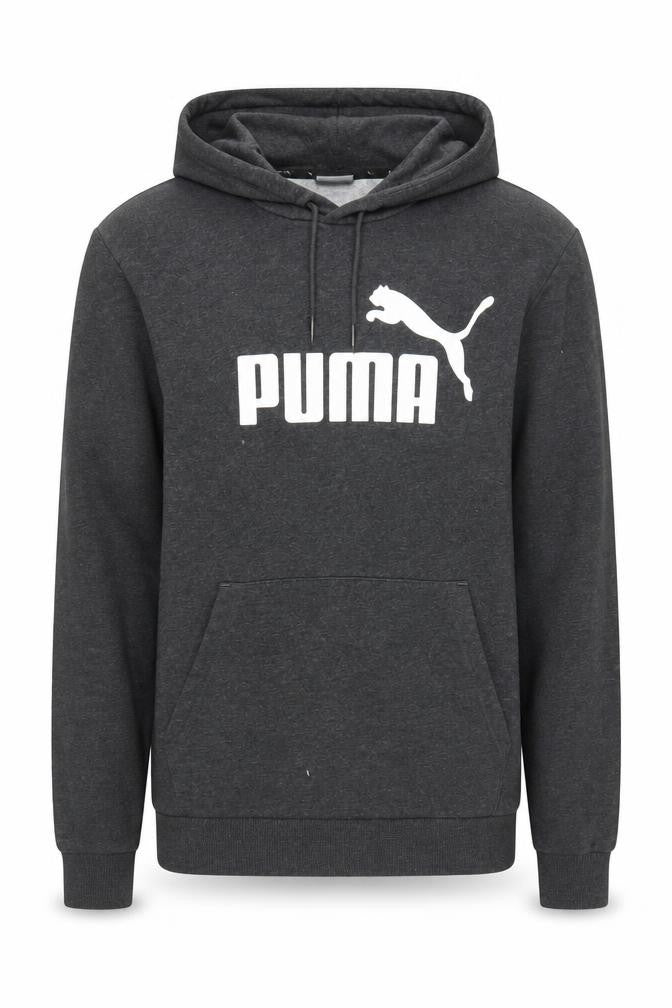 Front view of Puma Men's Grey M Hoodie with Logo Accent