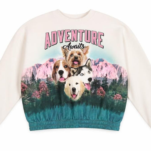 H&M Girls Beige Adventure Graphic Sweatshirt 10-12 Years