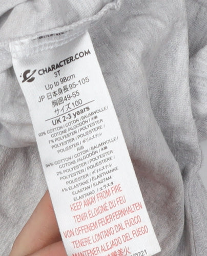 Character.com Boys' Grey Thomas T-Shirt, 2-3 Years, Graphic Print