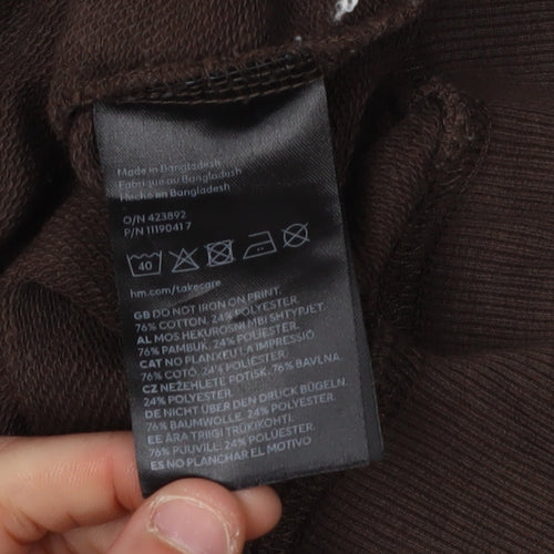 H&M Boys Brown Sonic Sweatshirt 11-12 Years