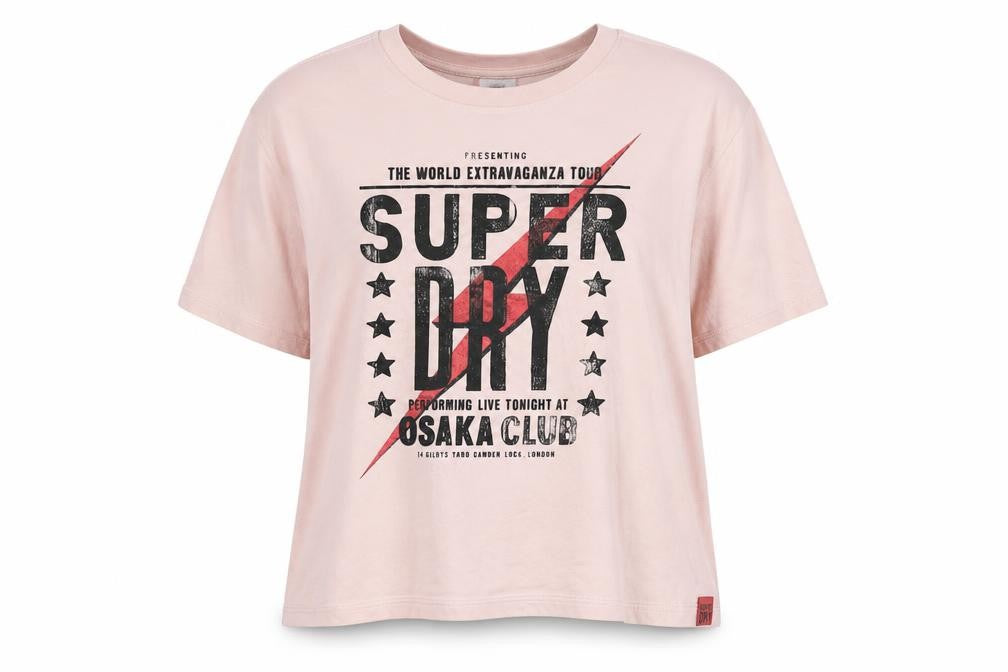 Superdry Women's Pink Relaxed T-Shirt UK 10