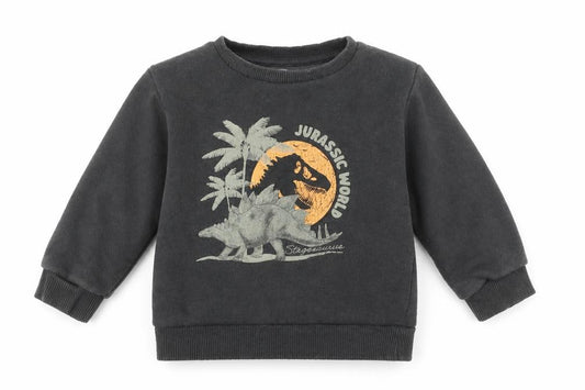 Front view of Jurassic World Black T-Shirt 12-18M unisex long sleeve