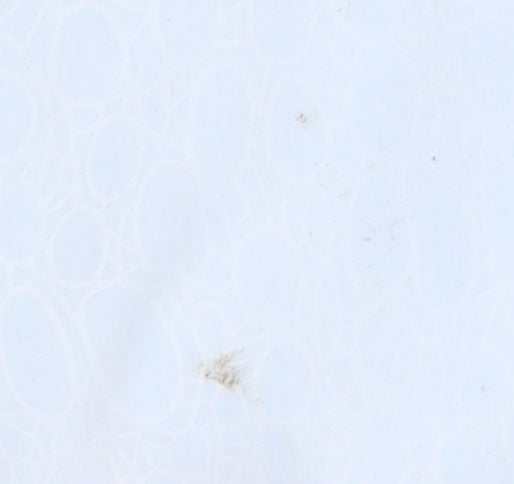 Ben Sherman Men's Blue XL Short Sleeve Shirt